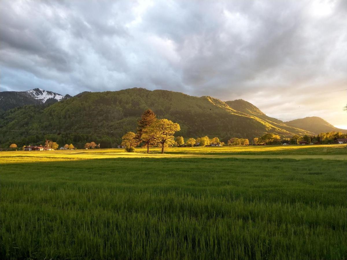 Wolke31 Lägenhet Grassau  Exteriör bild